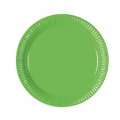 Solid Green 9inches Lunch Paper Plate 10pcs