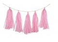 Baby Pink Tissue Tassel Garland